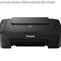 Canon Printer Drucker PIXMA MG2550s (0727C006)