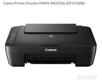 Canon Printer Drucker PIXMA MG2550s (0727C006)
