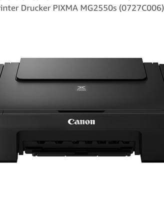 Canon Printer Drucker PIXMA MG2550s (0727C006)