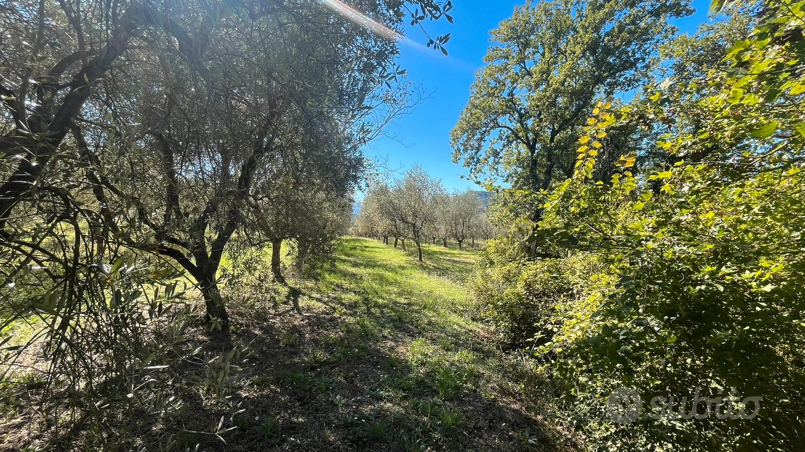 Terreno di 3000 mq - Vista 3