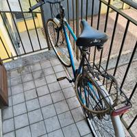 Longway bicicletta 