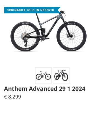 Giant Anthem 2024