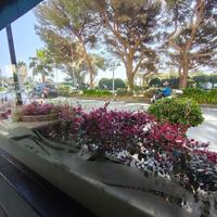 GESTIONE RISTORANTE ad ARENZANO