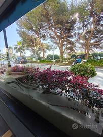 GESTIONE RISTORANTE ad ARENZANO