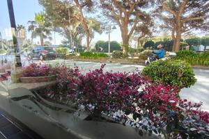 GESTIONE RISTORANTE ad ARENZANO