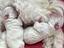 Immagine 4