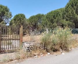 Terreno agricolo Nicolosi
