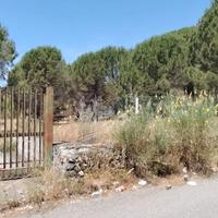 Terreno agricolo Nicolosi