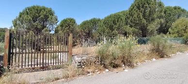Terreno agricolo Nicolosi