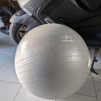 Fitball per homegym/palestra