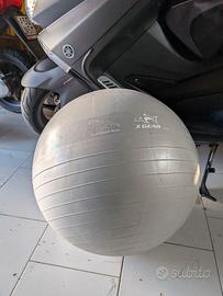 Fitball per homegym/palestra