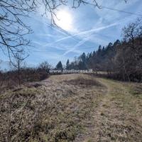 NEI PRESSI DI CEI: AMPIO TERRENO + RUSTICI