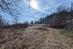 NEI PRESSI DI CEI: AMPIO TERRENO + RUSTICI