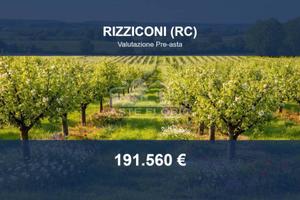 Immobile in asta di 92757 m² a Rizziconi