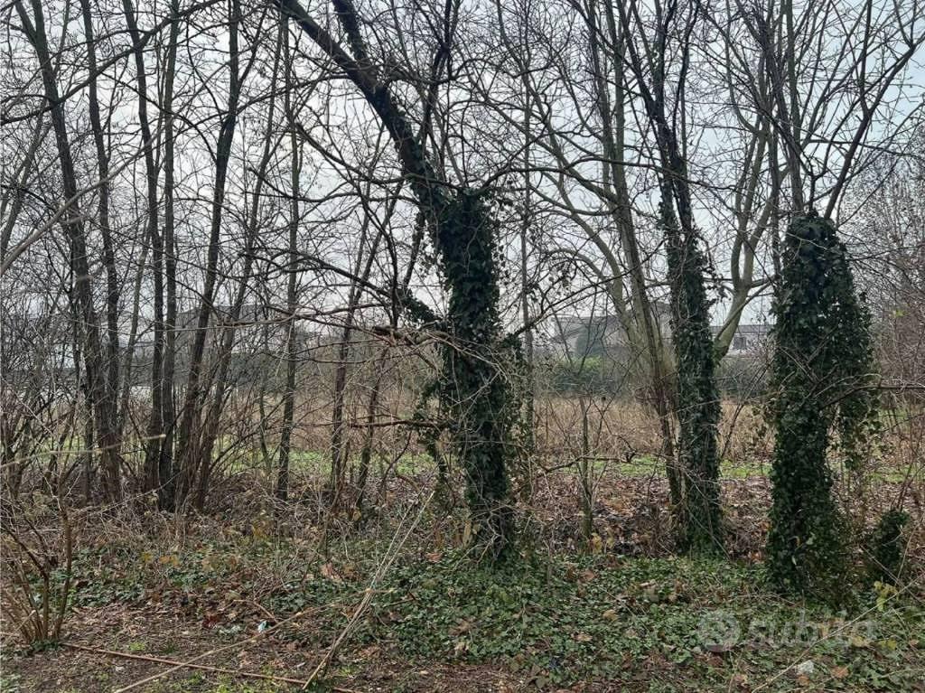Immobile in asta di 3033 m² a Sanza - Vista 5