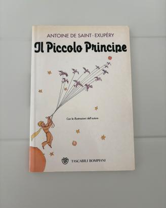 Il Piccolo Principe