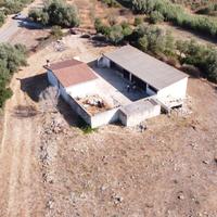 Magazzino - Terreno rustico Baressa