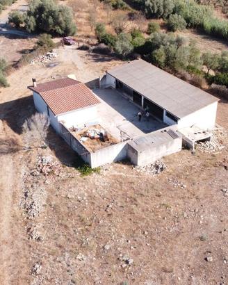 Magazzino - Terreno rustico Baressa