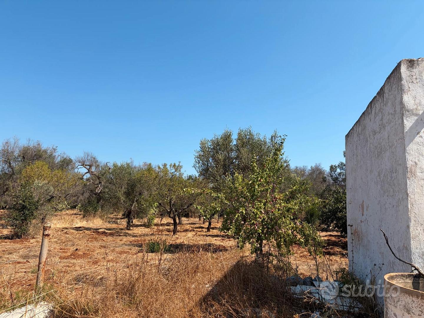 Terreno edificabile con lamia antica - Vista 4