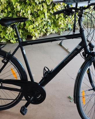 BICICLETTA DA TREKKING PEGASUS prezzo tratabile