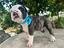 Immagine 6