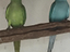 Immagine 2