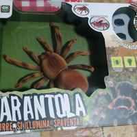 Tarantola Radiocomandata