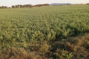 azienda sgricola