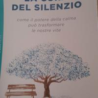 Libro " La cura del silenzio" Kankyo Tannier