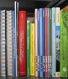 Lotto di 20 libri e riviste di montagna