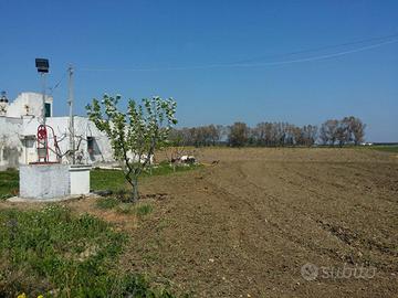 Terreno agricolo con fabbricato