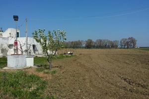 Terreno agricolo con fabbricato