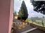 Immagine 24