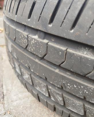 gomme estive 