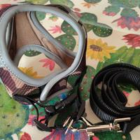 pettorina cane taglia puccola