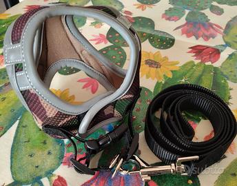 pettorina cane taglia puccola