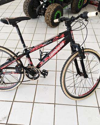 Bicicletta 8-12 anni Lombardo