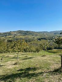 Terreno agricolo - Montecalvo Versiggia (PV)