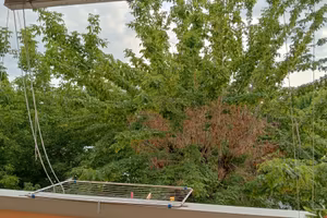 piccolo bilocale  con balcone 
