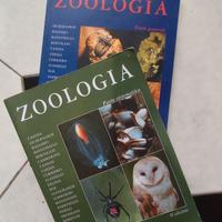 Zooogia parte generale-sistematica, De Bernardi