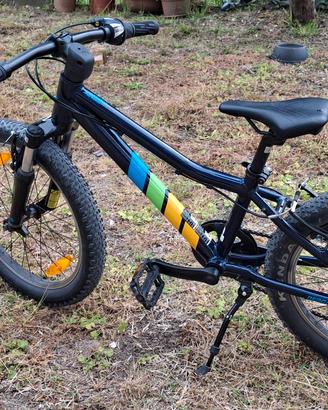 Mountain Bike Bambino Bergamont Revox 20"