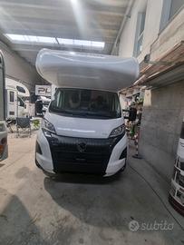 Giottiline siena 440