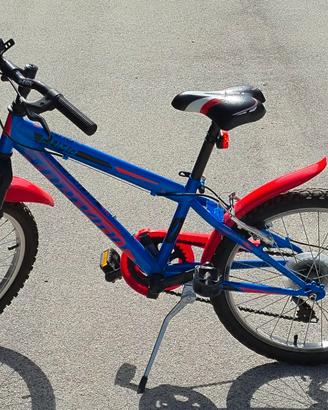 Bici bambino Torpado Puma 20