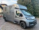 van-per-cavalli-nuovissimo-opel-movano-akx-2025