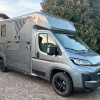 Van per cavalli nuovissimo opel movano akx 2025
