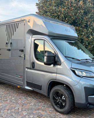Van per cavalli nuovissimo opel movano akx 2025