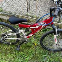 Bicicletta Vicini  bambino 10-12 ani