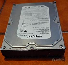 Hard Disk Ide Pata Maxtor 320 GB Testato