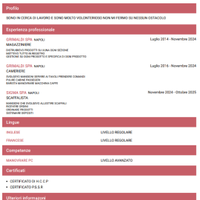 Barista/scaffalista/magazziniere