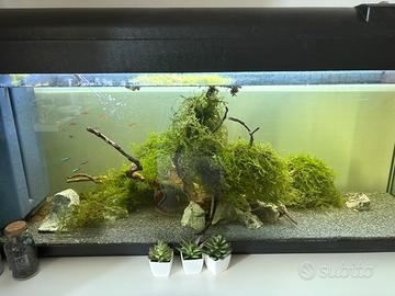 ACQUARIO 250LT